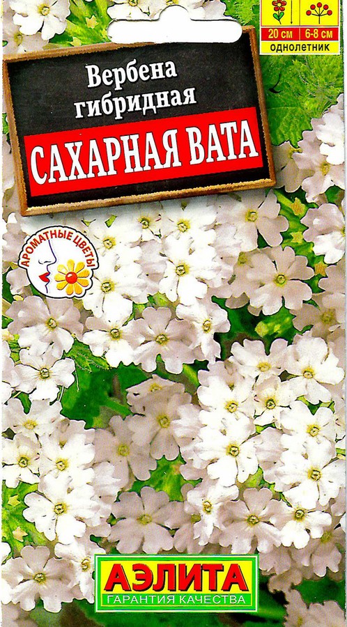 Вербена сахарная вата фото