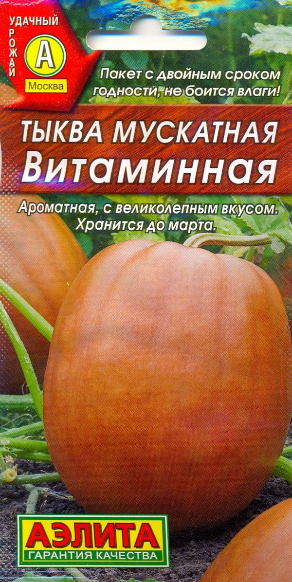 Тыква Витаминная Фото