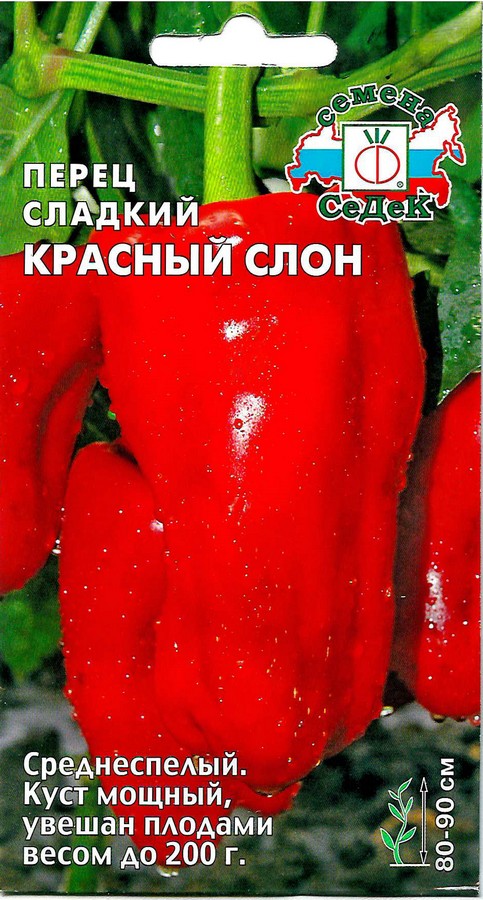 Перец Красный слон