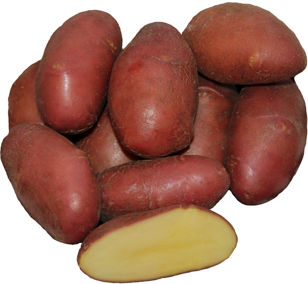 Картофель семенной Ред Скарлет (элита)  (уп.4,5кг)